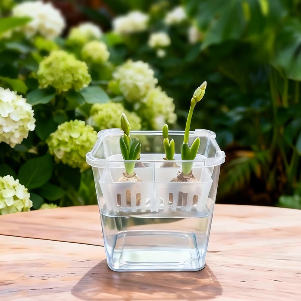 وعاء زراعة مائية للزهور، مناسب - مراجعة Vase Decor وسعره
